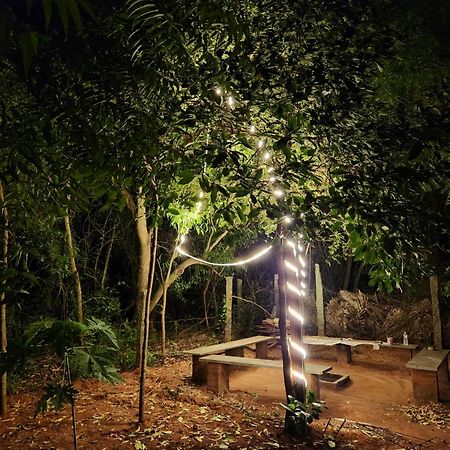 Nebula Nest Cafe & Hostel Auroville Exterior photo