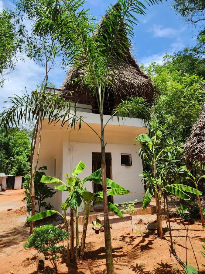 Nebula Nest Cafe & Hostel Auroville Exterior photo