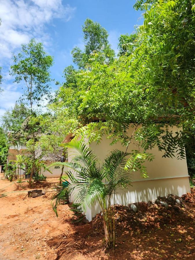 Nebula Nest Cafe & Hostel Auroville Exterior photo