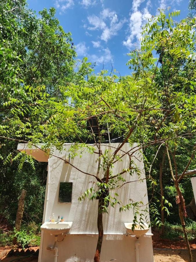 Nebula Nest Cafe & Hostel Auroville Exterior photo