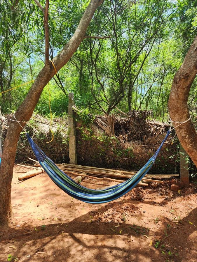 Nebula Nest Cafe & Hostel Auroville Exterior photo