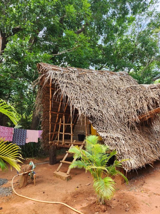 Nebula Nest Cafe & Hostel Auroville Exterior photo