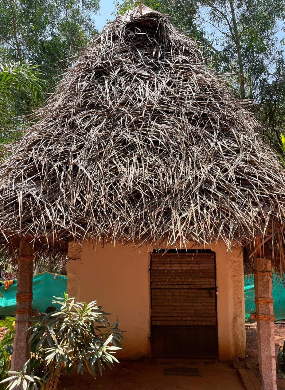 Nebula Nest Cafe & Hostel Auroville Exterior photo