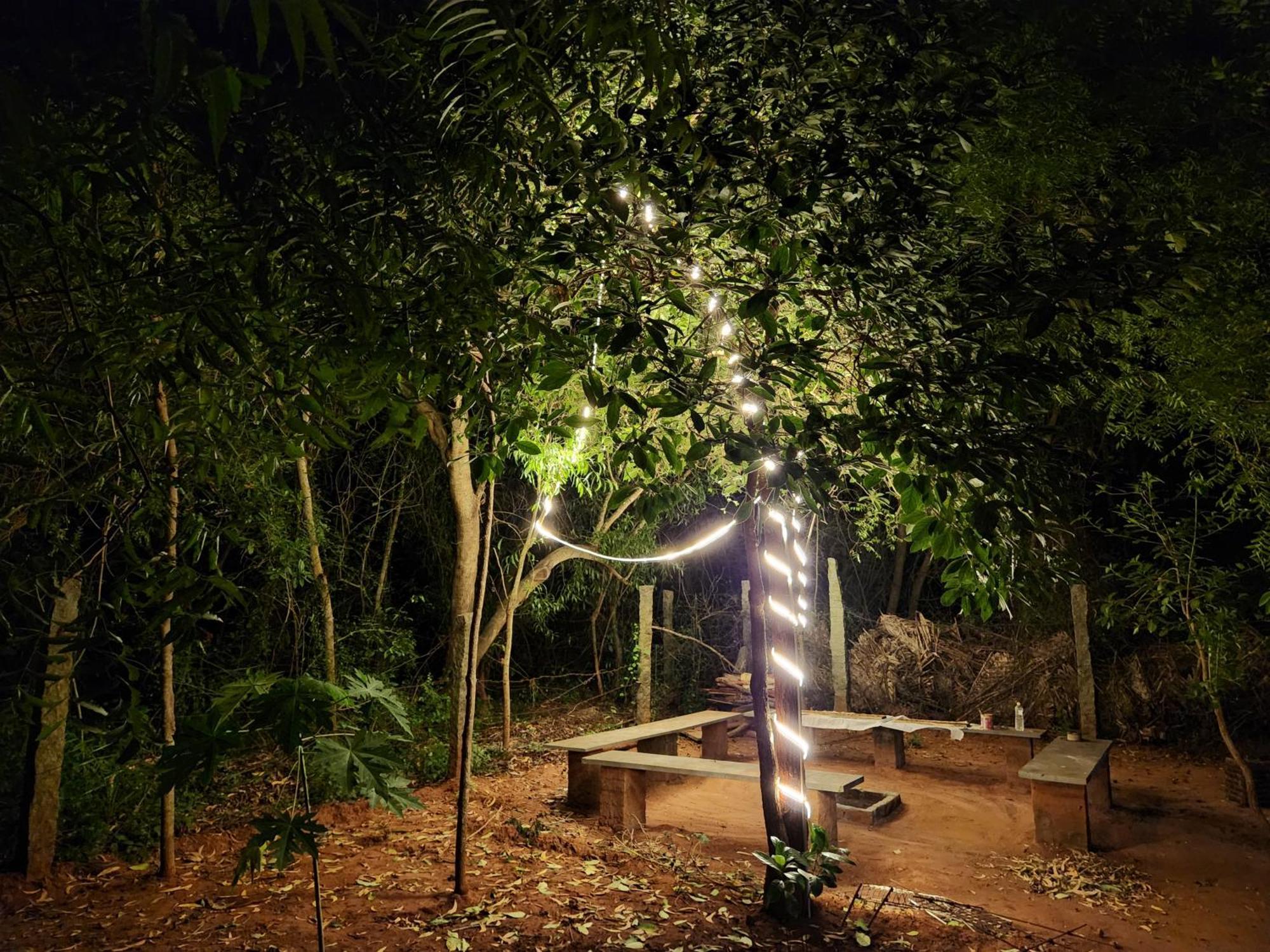 Nebula Nest Cafe & Hostel Auroville Exterior photo